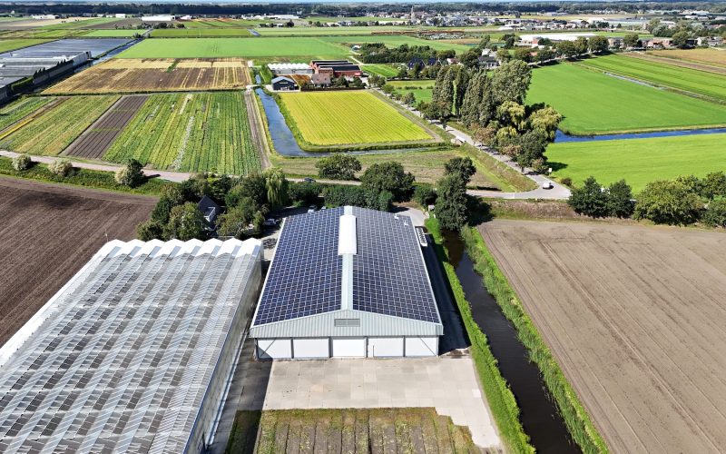 hillegom-zonnepanelen-kees-steenvoorde